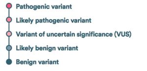 Variant classification - Genetic variants - Blueprint Genetics